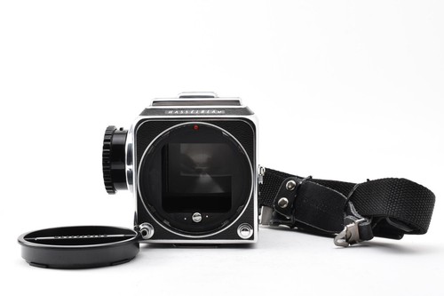 Mint strap hasselblad - n,